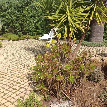 Casa Oliviera Bed & Breakfast Moncarapacho Dış mekan fotoğraf