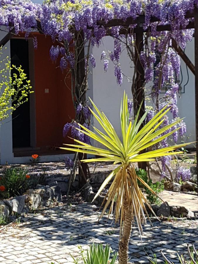 Casa Oliviera Bed & Breakfast Moncarapacho Dış mekan fotoğraf