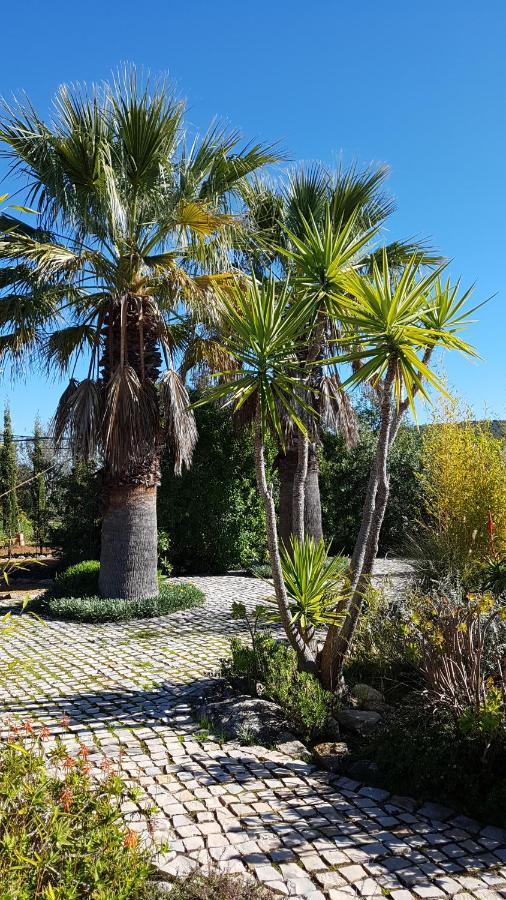 Casa Oliviera Bed & Breakfast Moncarapacho Dış mekan fotoğraf