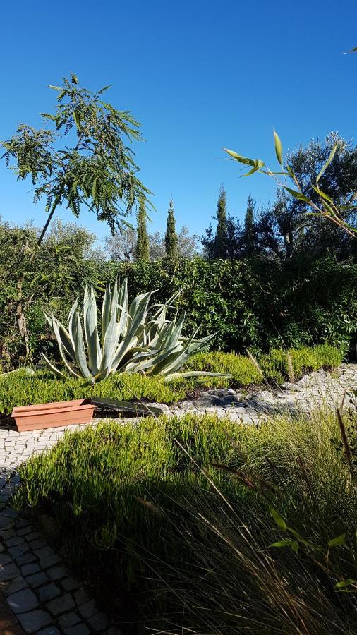 Casa Oliviera Bed & Breakfast Moncarapacho Dış mekan fotoğraf